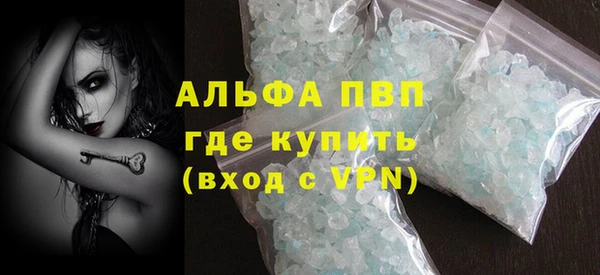 стаф Арсеньев