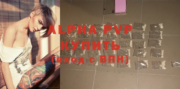 стаф Арсеньев