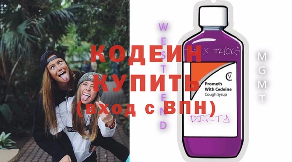 стаф Арсеньев