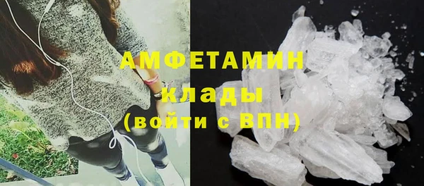 стаф Арсеньев